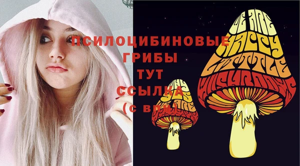 гидра Бронницы
