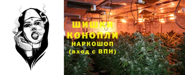 гидра Бронницы