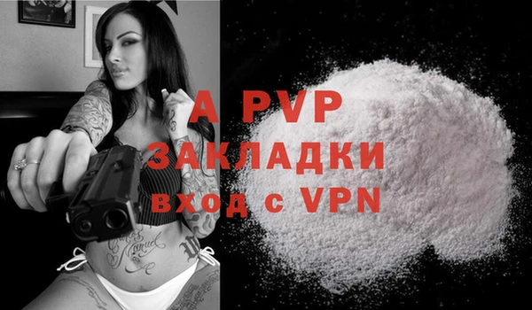 гидра Бронницы