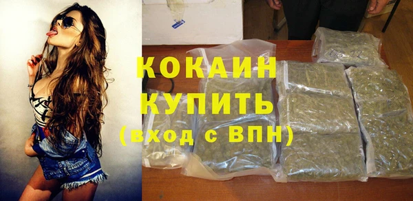 гидра Бронницы