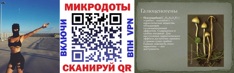 цена наркотик  Евпатория  блэк спрут зеркало  Псилоцибиновые грибы Cubensis 