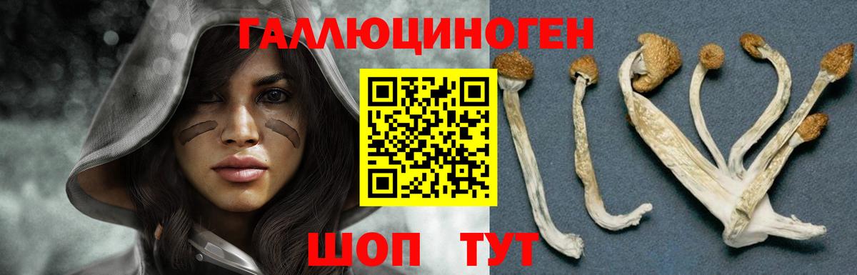 Евпатория  Псилоцибиновые грибы Psilocybe  сколько стоит  Вход с VPN 